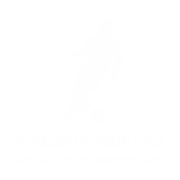 logo stadionu miejskiego